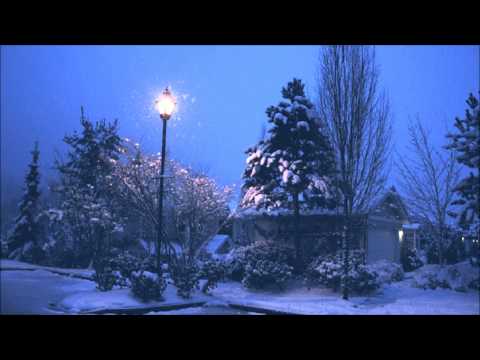 Disconscious - Midnight Specimen