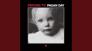 Translucent Carriages