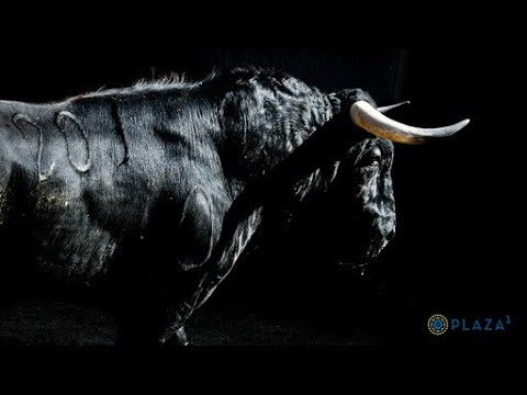 SORTEO | Novillada 25 junio, Fuente Ymbro y Montealto