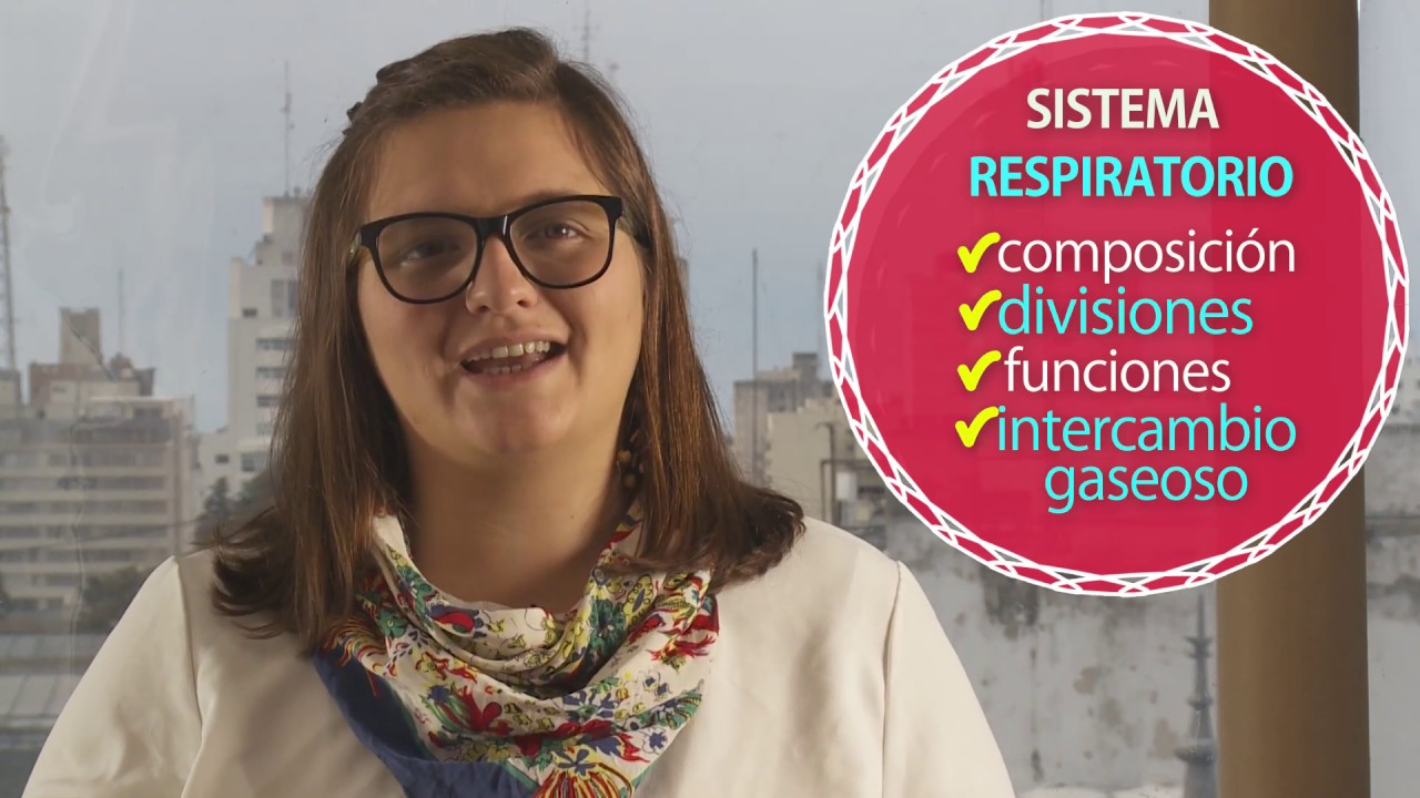 FISIOLOGÍA: Sistema Respiratorio. PARTE I