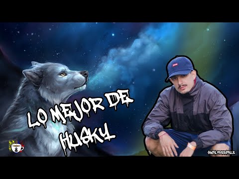 LO MEJOR DE HUSKY