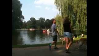 preview picture of video 'Boston Public Garden Swan Boat'