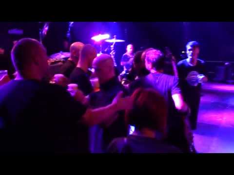 Dog Eat Dog - Sound of the Revolution - Beers for Ludo