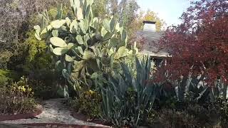 Is Your Garden Naughty or Nice?