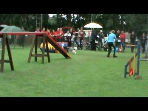 Blue Haacht 14 07 2012