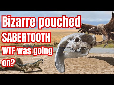 Gut sucking scavenger? Or super-predator?