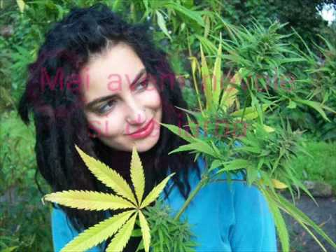 Unu vs George Nicolescu - Mai avem nevoie si de iarba (versuri)