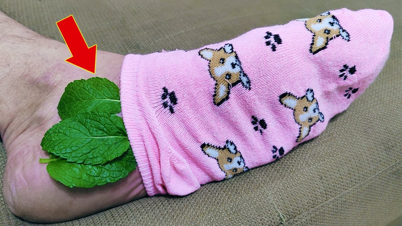 Just 1 mint leaf on your feet and no longer need to spend money at the pharmacy (Did you know that?)