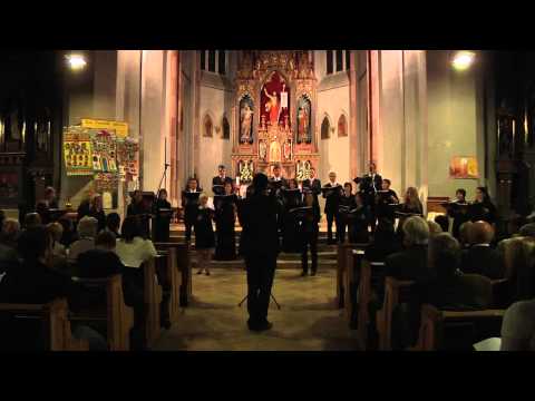 Tabula Rasa Chor - Konzert 2012 - 13 Sally Gardens