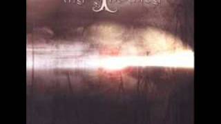 MY INSANITY - 03 - Kind Of Light