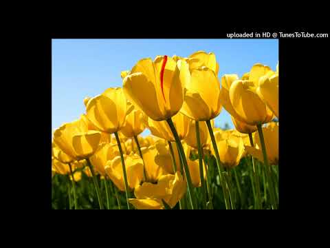 D. Rail & Randy B. Bring It On Down Club Mix