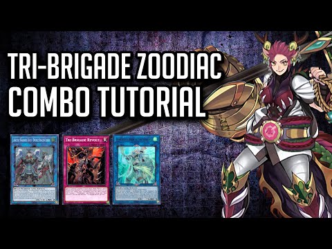Zoodiac Tri-Brigade COMBO TUTORIAL! | Top Tier Potential! (Before Bearbloom)
