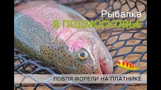 Рыбалка в никитском московской области