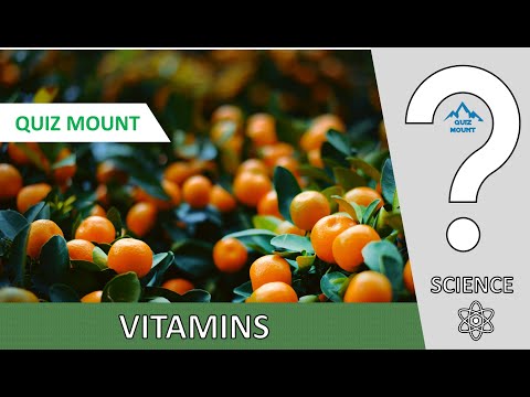 Basic Mount Vitamins