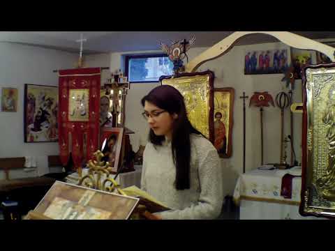 Elena Aurică - Iisuse, o, Iisuse (poezie)