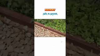 Download lagu Railfans Ketabrak kereta api...[ @Daop5Cilacap ] mp3