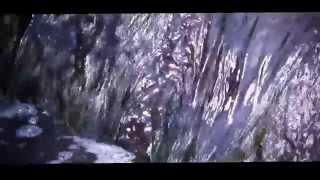 Canon Power Shot SX40 HS vs Koto - Plain Video Test