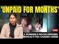 Unpaid For Months A Worker S Death Exposes Bengal S Tea Garden Crisis