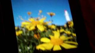 How to: Change Wallpaper : LG incite