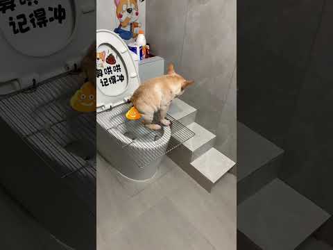 Just pull it, and you have to walk away with me. I told you to eat less vegetables but I don’t bel