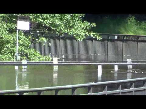 Elbe - Hochwasser 2013 Rathmannsdorf