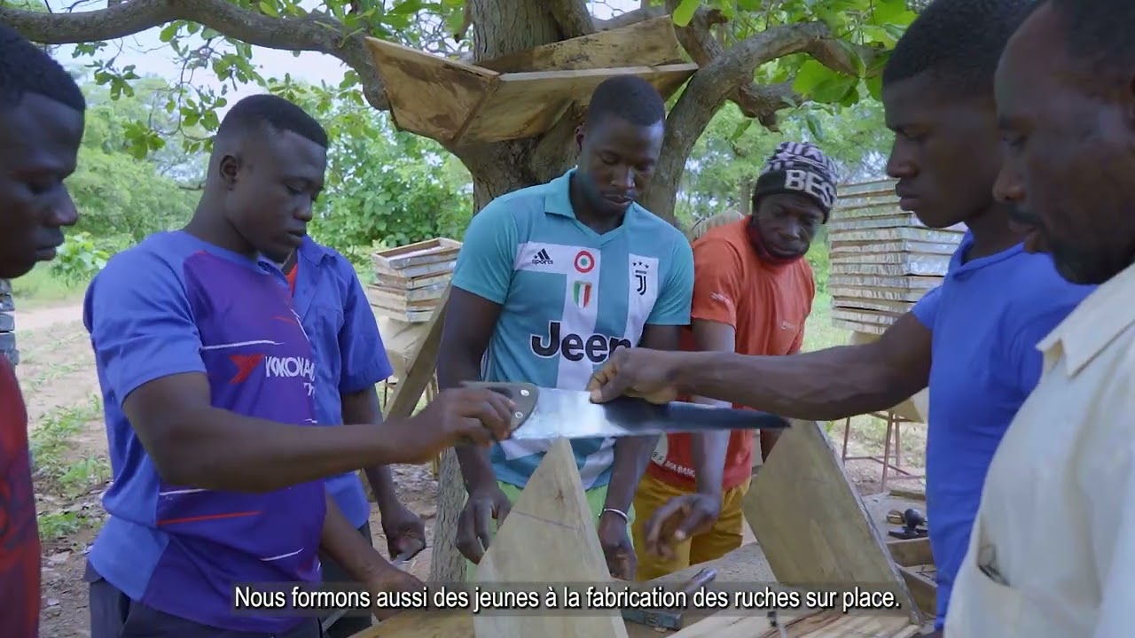Vidéo Thématique : la filière miel
