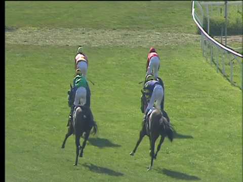 Galoppo 14/06/2017 - 3ª corsa