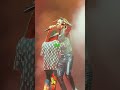 POST MALONE SWAE LEE SUNFLOWER LIVE