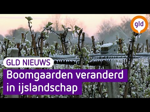 GLD Nieuws 3 april 2022