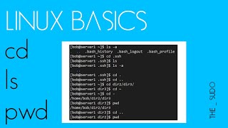 Linux Basics:  Moving around the file system.