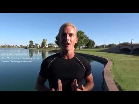 download lagu mp3 mp4 Do Vegans Eat Plants, download lagu Do Vegans Eat Plants gratis, unduh video klip Do Vegans Eat Plants