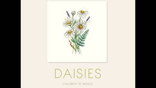 Daisies (Official Audio) - Children of Indigo