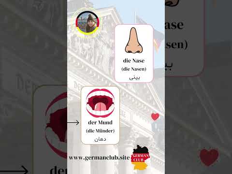 آموزش زبان آلمانی-بخش اعضای بدن - یادگیری تصویری زبان آلمانی درس 23 - موسسه گوته - تدریس آنلاین