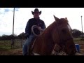 Brent Bennett performance horses... When it's to wet to rope ... No excuses... Horse training