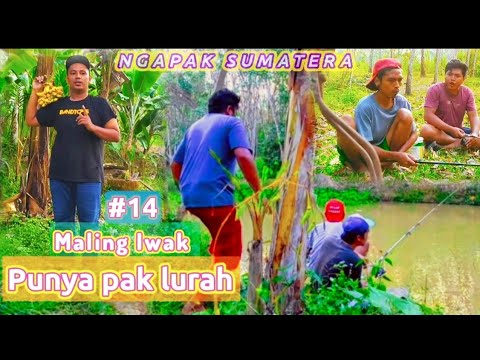 eps-14-maling-iwak-di-kolam-pak-lurah-film-pendek-ngapak-terbaru-2020-video-lucu-bahasa-jawa