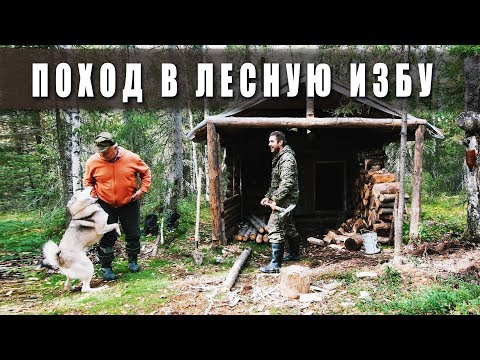 Поход в лес. 🌲 Лесная изба. 🏞Таёжный быт.👈