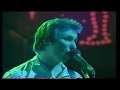 VIBRATORS - Flying Duck Theory live 1978
