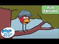 A Daring Duck Peep And The Big Wide World Full Episode