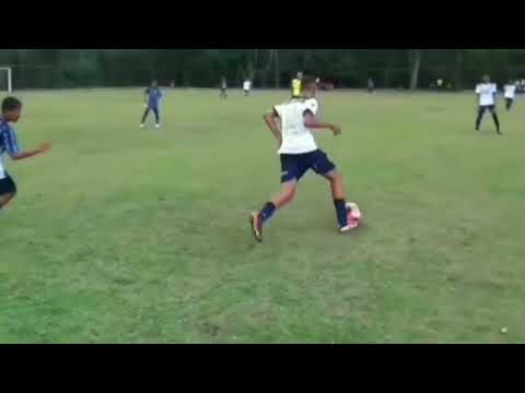 - temporada 25/1° semestre - campeonato carioca A2 pelo niteroiense 