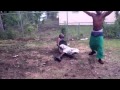 Cc ko fat dick 