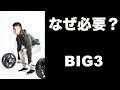 なぜビッグ3は体づくりに不可欠なのか?