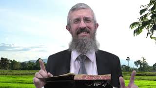מסכת בבא בתרא דף נט - 8 דקות של לומדות ועמקות בדרך הלימוד הישיבתית [bava batra 59]