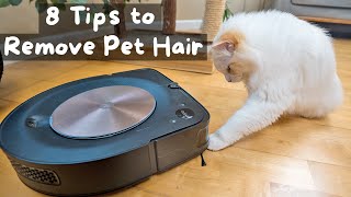 How to Clean Pet Hair from Your Home | The Cat Butler