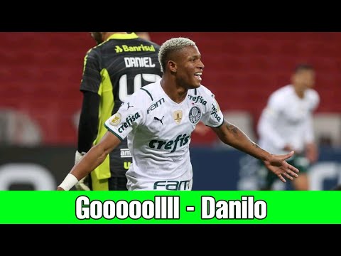 Gol do Palmeiras 2 x 1 Internacional - Gol do Danilo