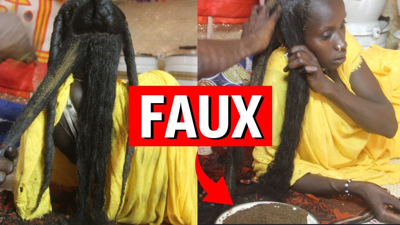 La VÉRITÉ sur le CHÉBÉ...