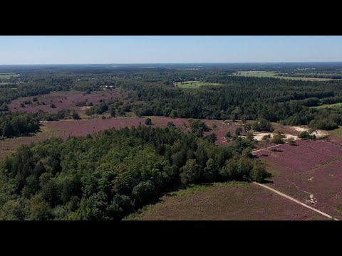 654. Heide Allardsoog & Bakkeveen [12-08-2024] 4K