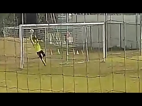 parate vs Nervesa HD