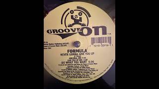 Formula - Never Gonna Give You Up (Do What You Want)