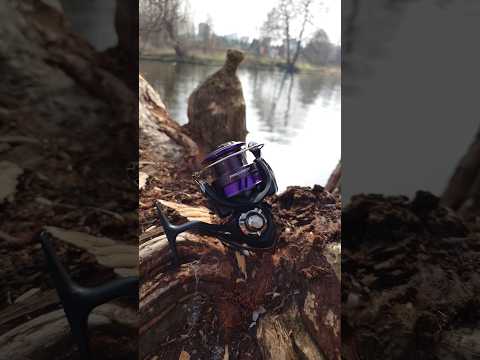 Kołowrotek Daiwa 25 Prorex V LT 3000-C