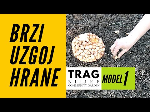 FAST GROWING OF FOOD - MODEL 1 (2021) [TRACE OF THE PLANT]